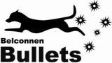 Belconnen Dog Obedience Club logo