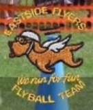 Eastside Flyers Flyball Team Incorporated logo