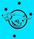 Southern Cross Flyball Club logo