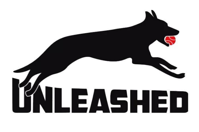 Unleashed logo