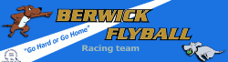 Berwick logo