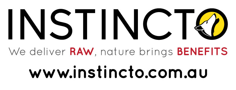 Instincto-Logo