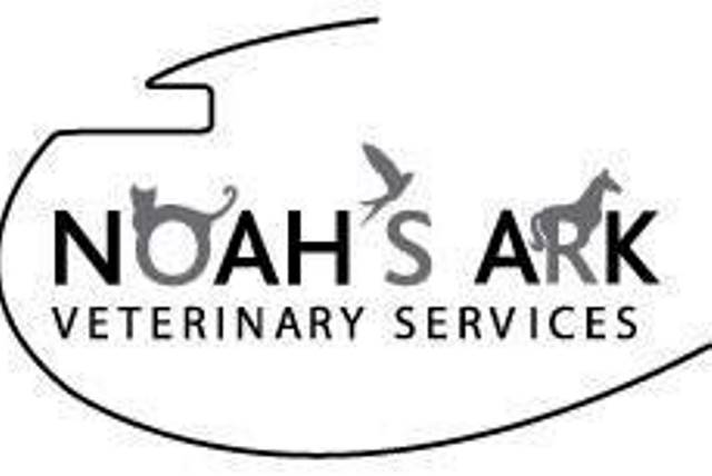 Noahs Ark