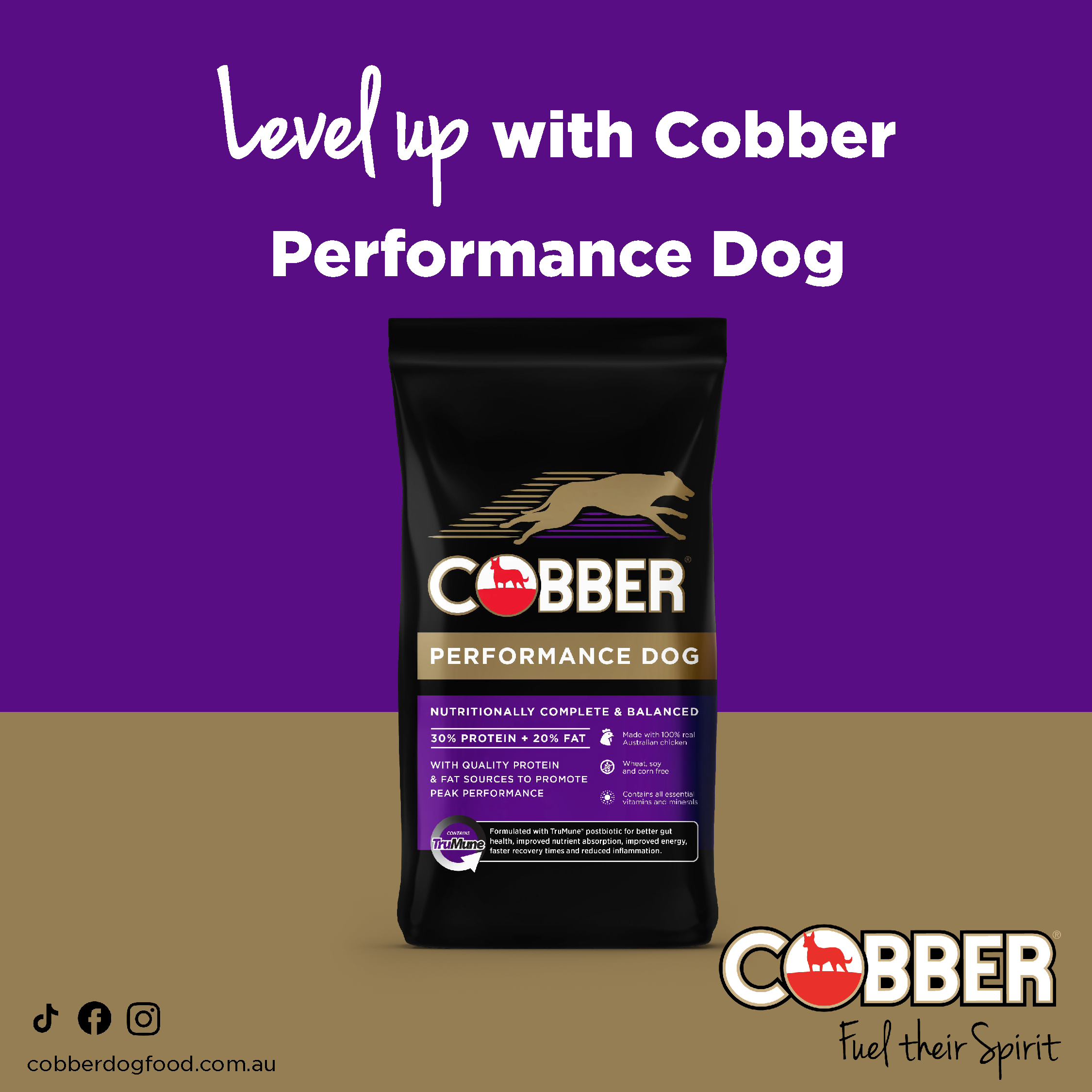 Cobber 1