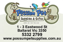 Possum