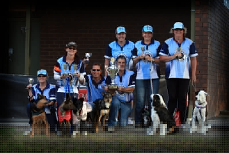 1st Div 3 Awesome Pawesome